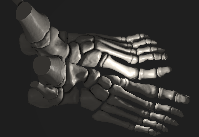 shadow_example_1.png